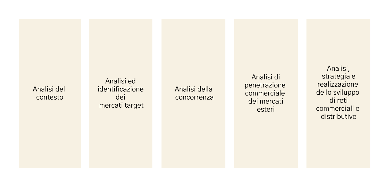 Analisi, strategia e realizzazione dello sviluppo di reti commerciali e distributiv.png1
